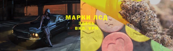 круглые Бородино