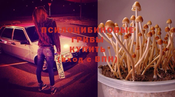 МДМА Бугульма